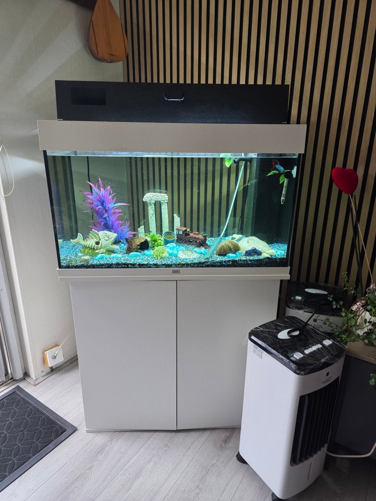 Aquarium Juwel Rio 125, Ophalen, Inclusief toebehoren, Juwel, Gevuld zoetwateraquarium