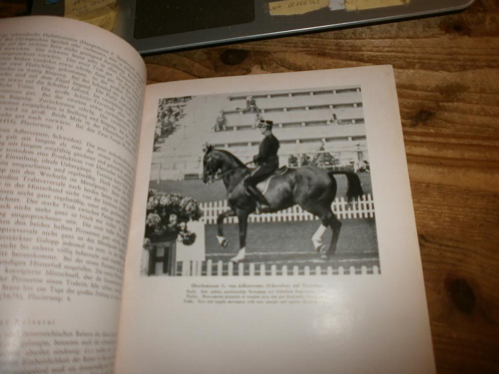 1936 die reitkunst der welt olympischen spielen 1936 fotos, Ophalen of Verzenden