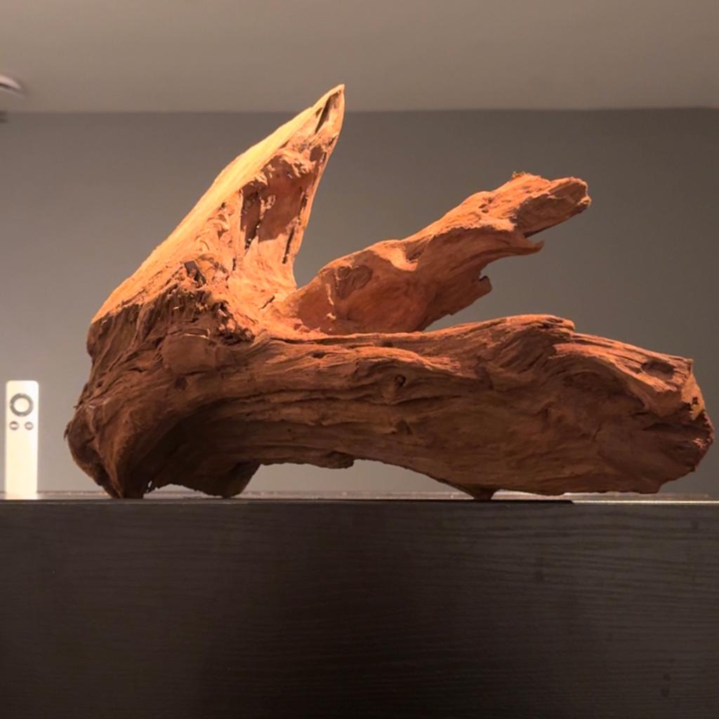 Groot stuk Driftwood / Kienhout / Spiderwood, Hout Decoratie, Ophalen of Verzenden, Plant(en), Steen of Hout