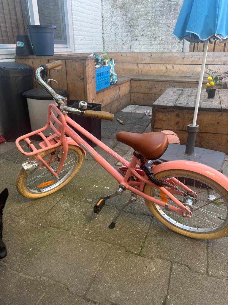 Kinderfiets roze, Minder dan 47 cm, Ophalen, Zo goed als nieuw, Staal