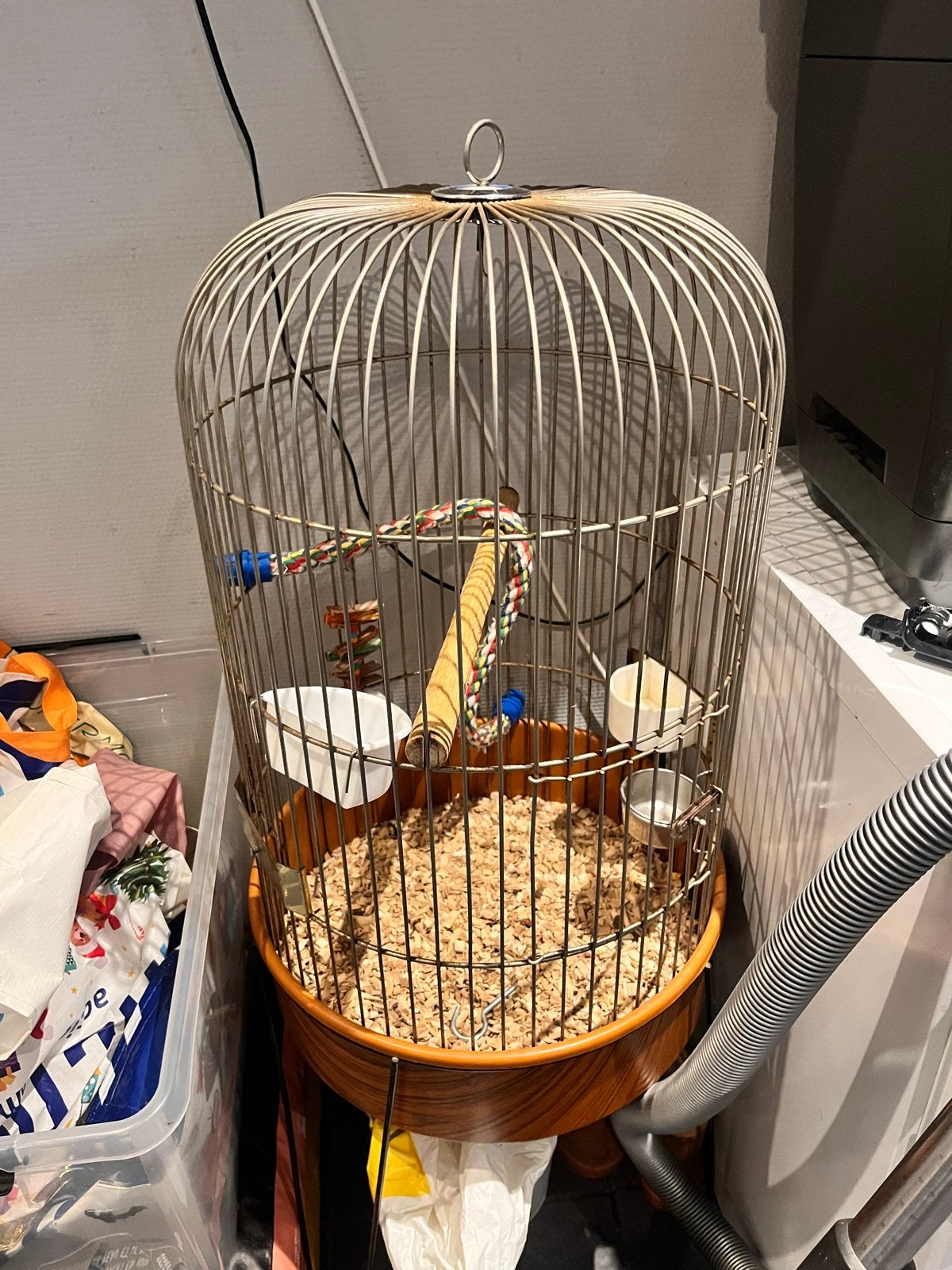 Ronde vogelkooi 70cm hoog op standaard, Ophalen of Verzenden, Gebruikt, Metaal, Vogelkooi