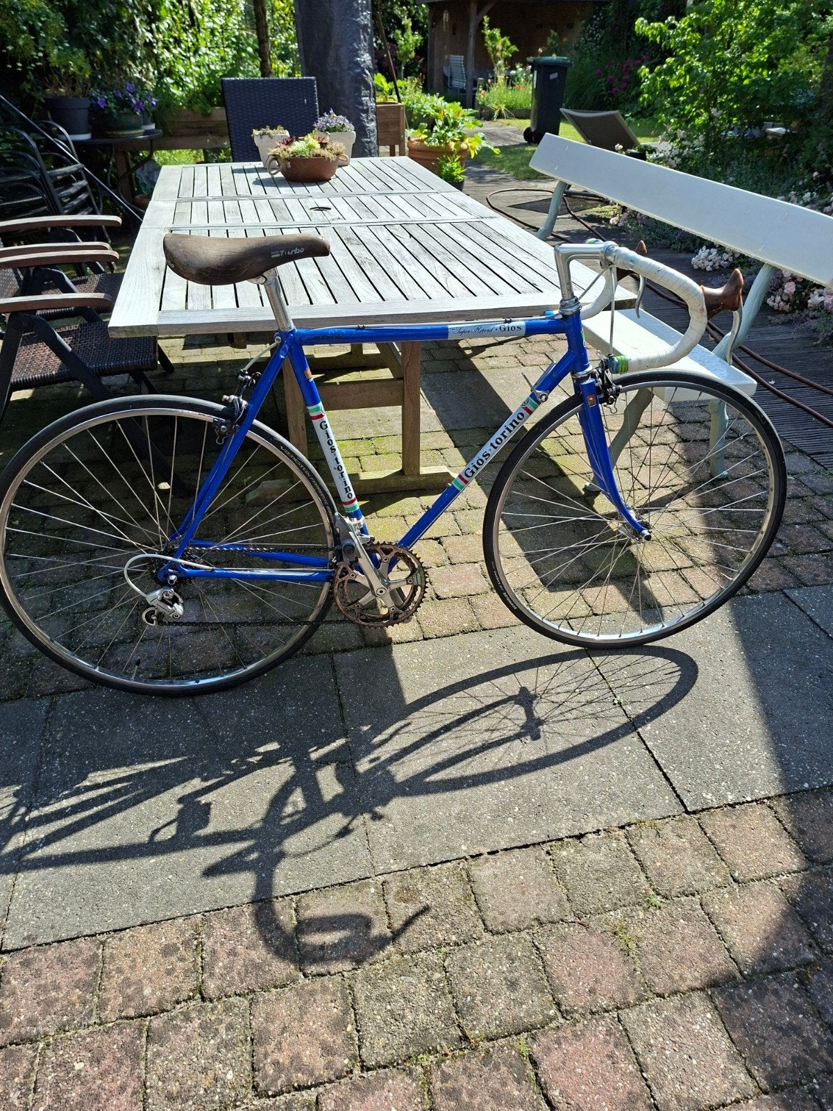 Klassieke Gios Torino Super Record racefiets, Fietsen en Brommers, Fietsen | Racefietsen, Gebruikt, Overige merken, 10 tot 15 versnellingen