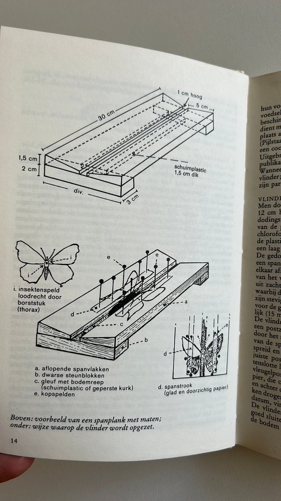 Nachtvlinders in Kleur - Leif Lyneborg / C.J. Zwakhals, Ophalen of Verzenden, Gelezen, Natuur algemeen