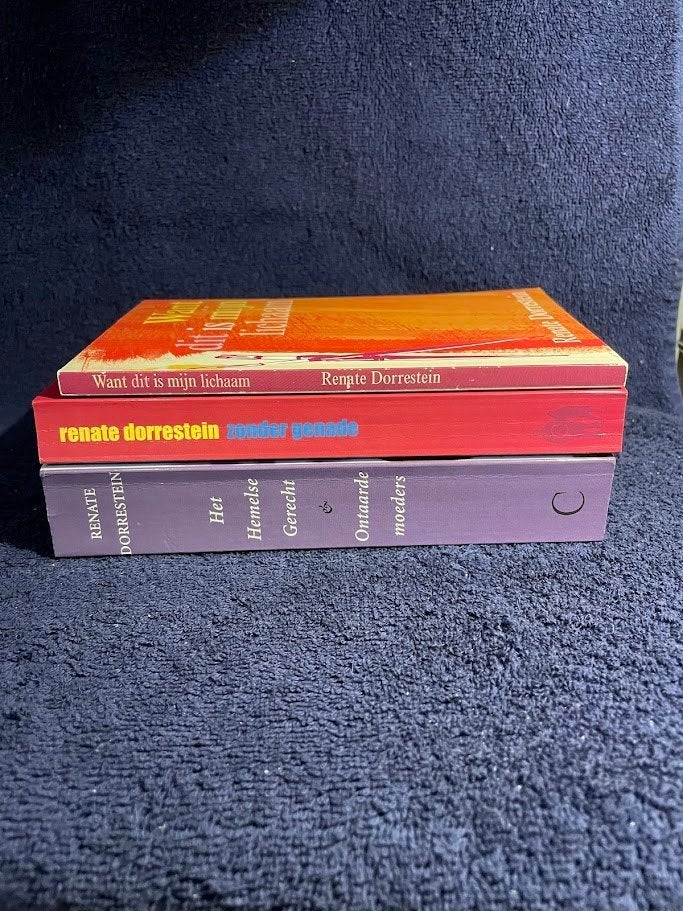3 Boeken van Renate Dorrestein., Ophalen of Verzenden, Gelezen, Renate Dorrestein., Nederland