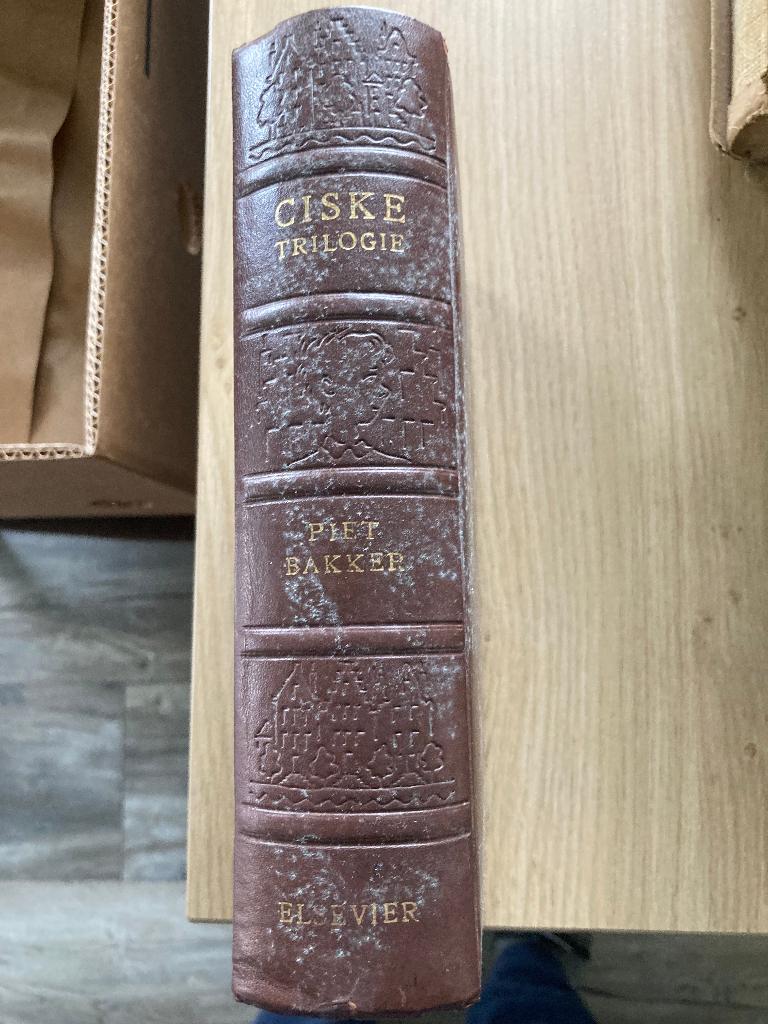 Boek Piet Bakker, Ophalen of Verzenden, Gelezen