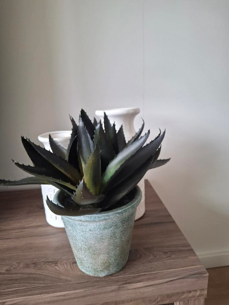 Kunstplant met pot van Intratuin, Ophalen of Verzenden