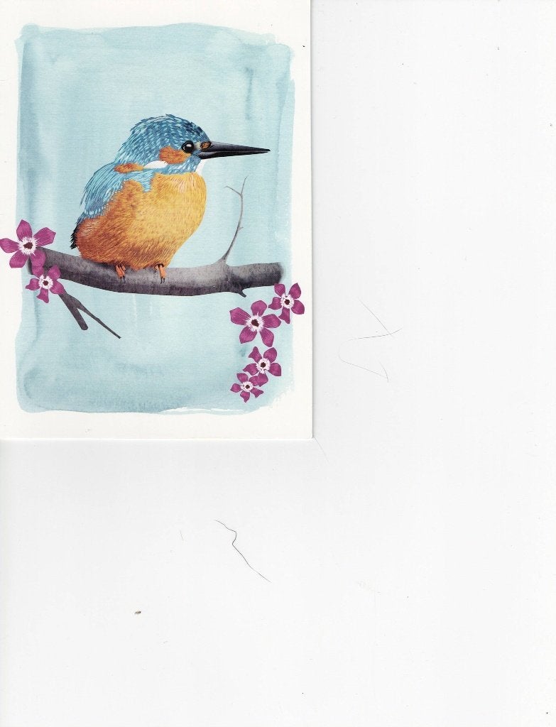 IJsvogel 629, Verzenden, 1980 tot heden, Gelopen, Vogel