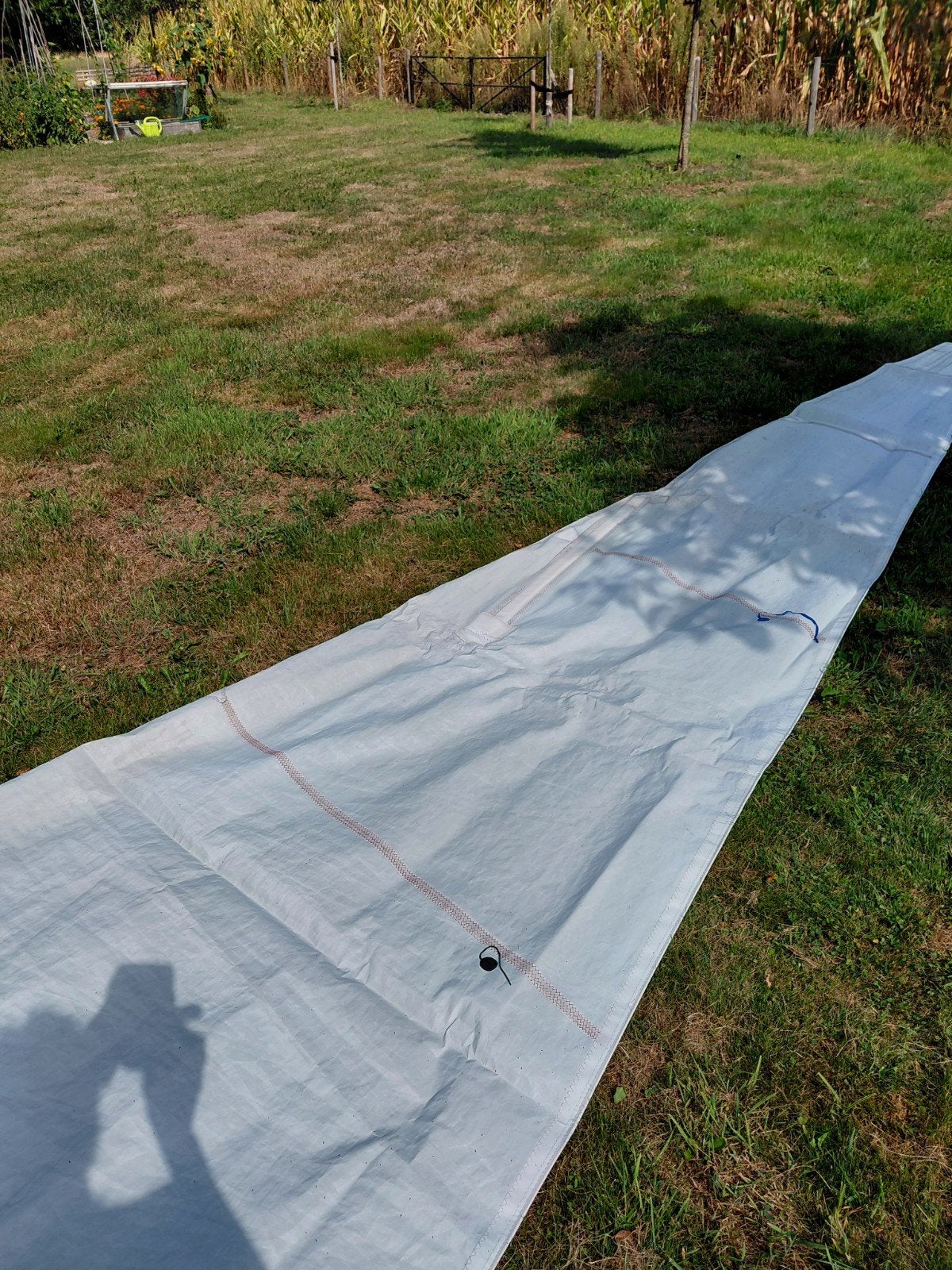 Elvström rolfok - Oud maar intact, 12m x 3.25m, 1 rif, Watersport en Boten, Zeilen en Zeiltoebehoren, 6 meter of meer, Gebruikt