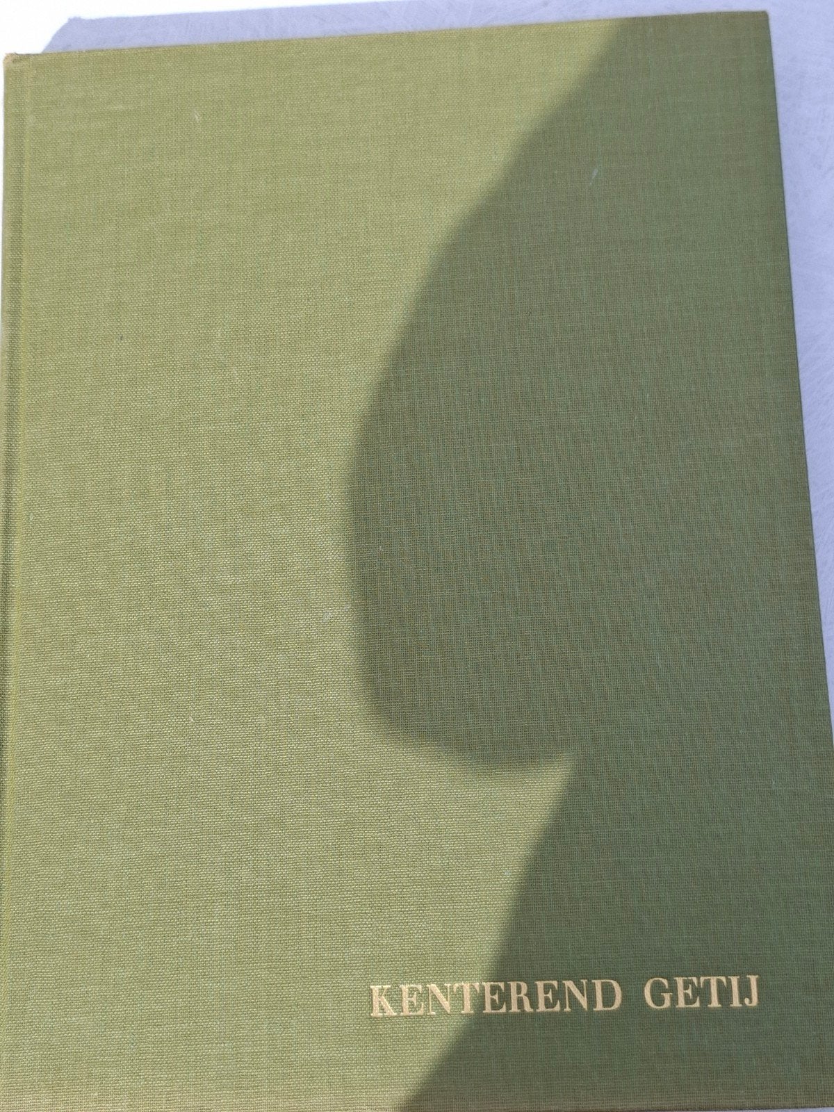 Kenterend getij., Boeken, Gelezen, Zeeland, Ophalen of Verzenden, Riemens, Wim, de Bruin, de Kok