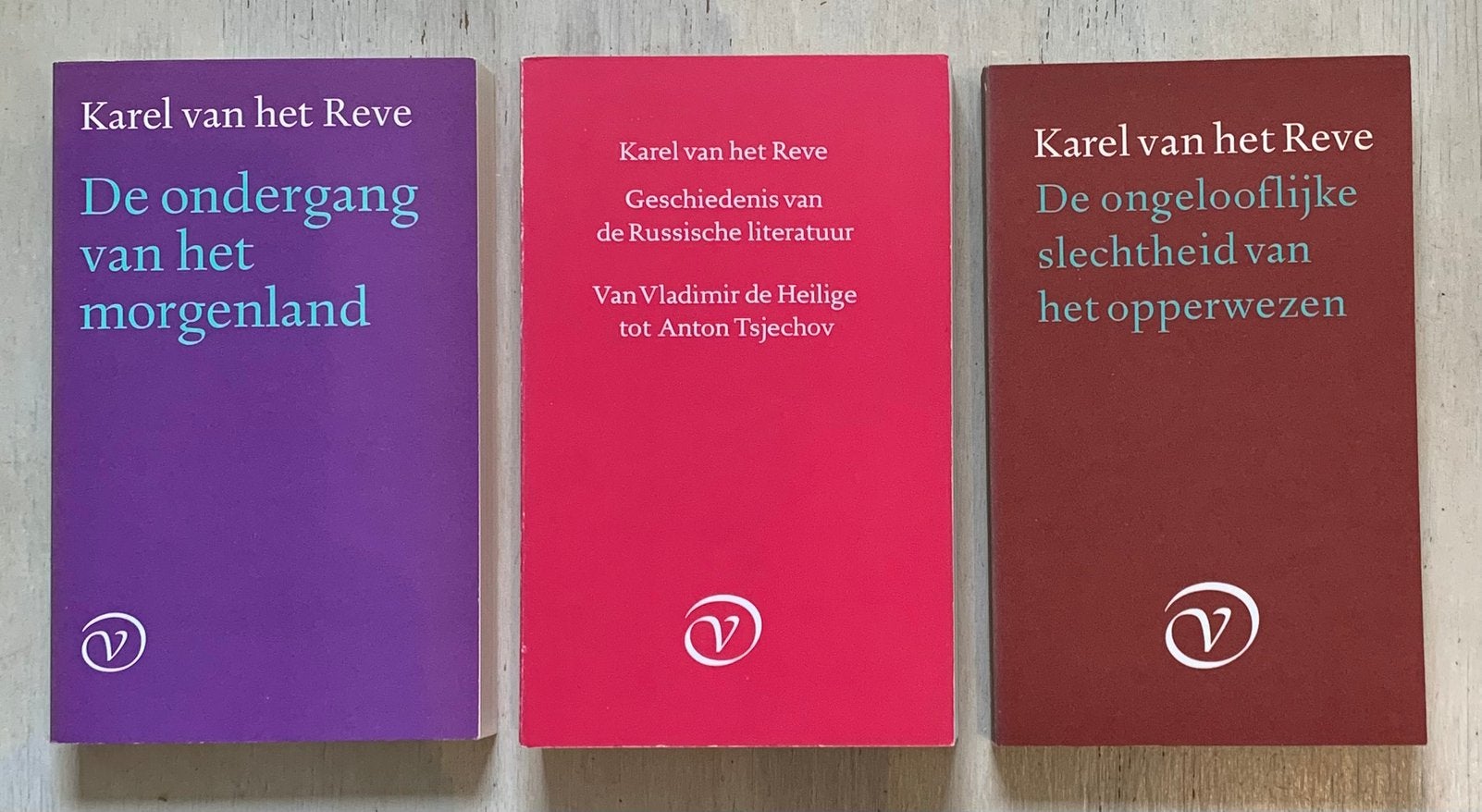 3 boeken van Karel van het Reve, Ophalen of Verzenden, Gelezen