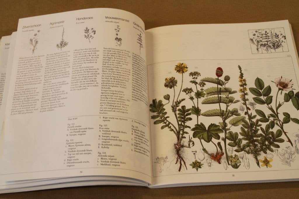 Atlas Flora van Oudemans — Wilde Planten, Platen 1859-1862, Boeken, Ophalen of Verzenden, Gelezen, Bloemen, Planten en Bomen