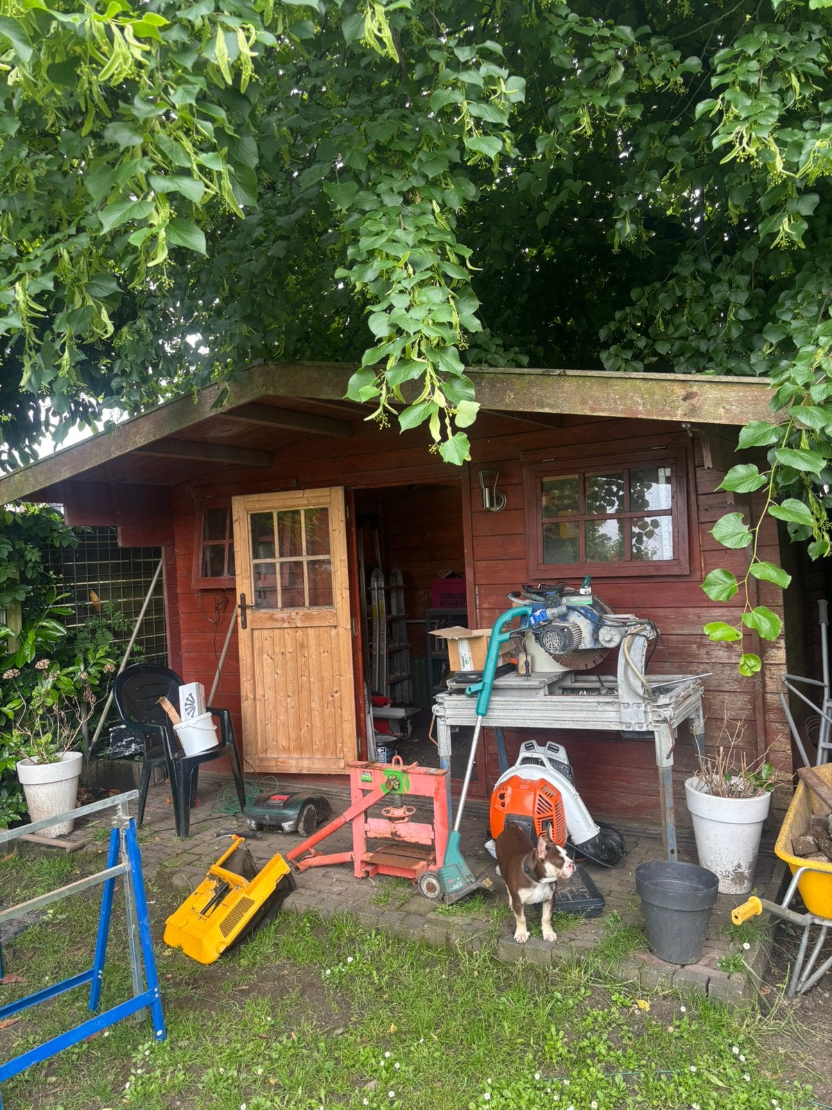 Schuurtje teab, Tuin en Terras, Tuinhuizen, Ophalen of Verzenden, Zo goed als nieuw, Schuur, Zonder ramen