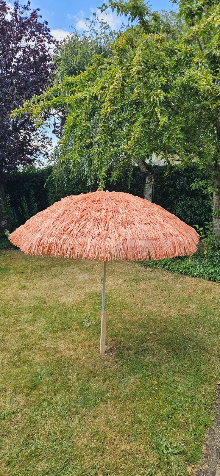 leuke parasol, Ophalen, 1 tot 2 meter