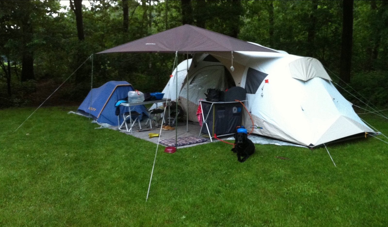 Quechua Family tent 4 pp, binnenverlichting, prima staat, Ophalen, Gebruikt, Tot en met 4