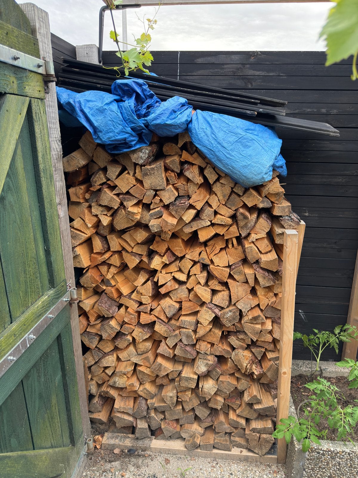 Gekloofd brandhout kachelhout haardhout, Minder dan 3 m³, Ophalen, Beukenhout, Blokken