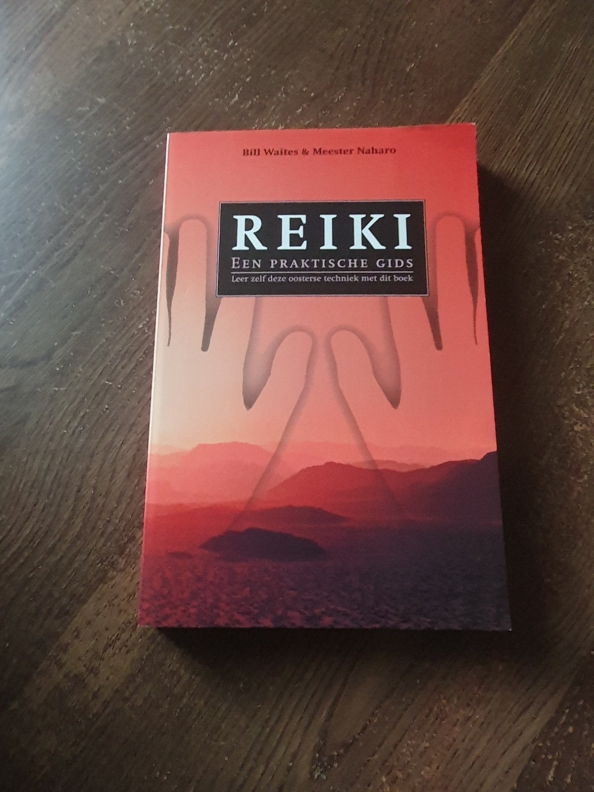 Reiki: Een Praktische Gids - Leer Oosterse Technieken, Boeken, Spiritualiteit algemeen, Ophalen of Verzenden, Zo goed als nieuw