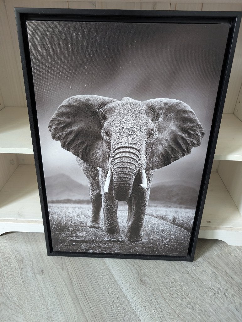 Print olifant, Ophalen, 50 – 75, Minder dan 50 cm, Gebruikt
