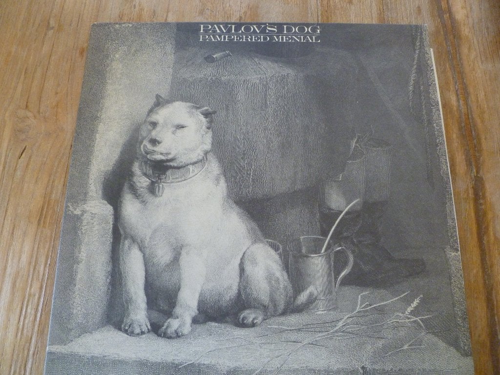 Pavlov's Dog, Ophalen of Verzenden, Gebruikt, Overige formaten, LP