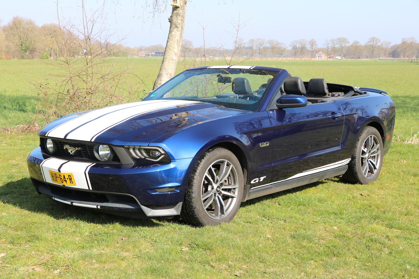 Ford Mustang 5.0 V8 Cabrio, Automaat, Achterwielaandrijving, Cabriolet, Leder