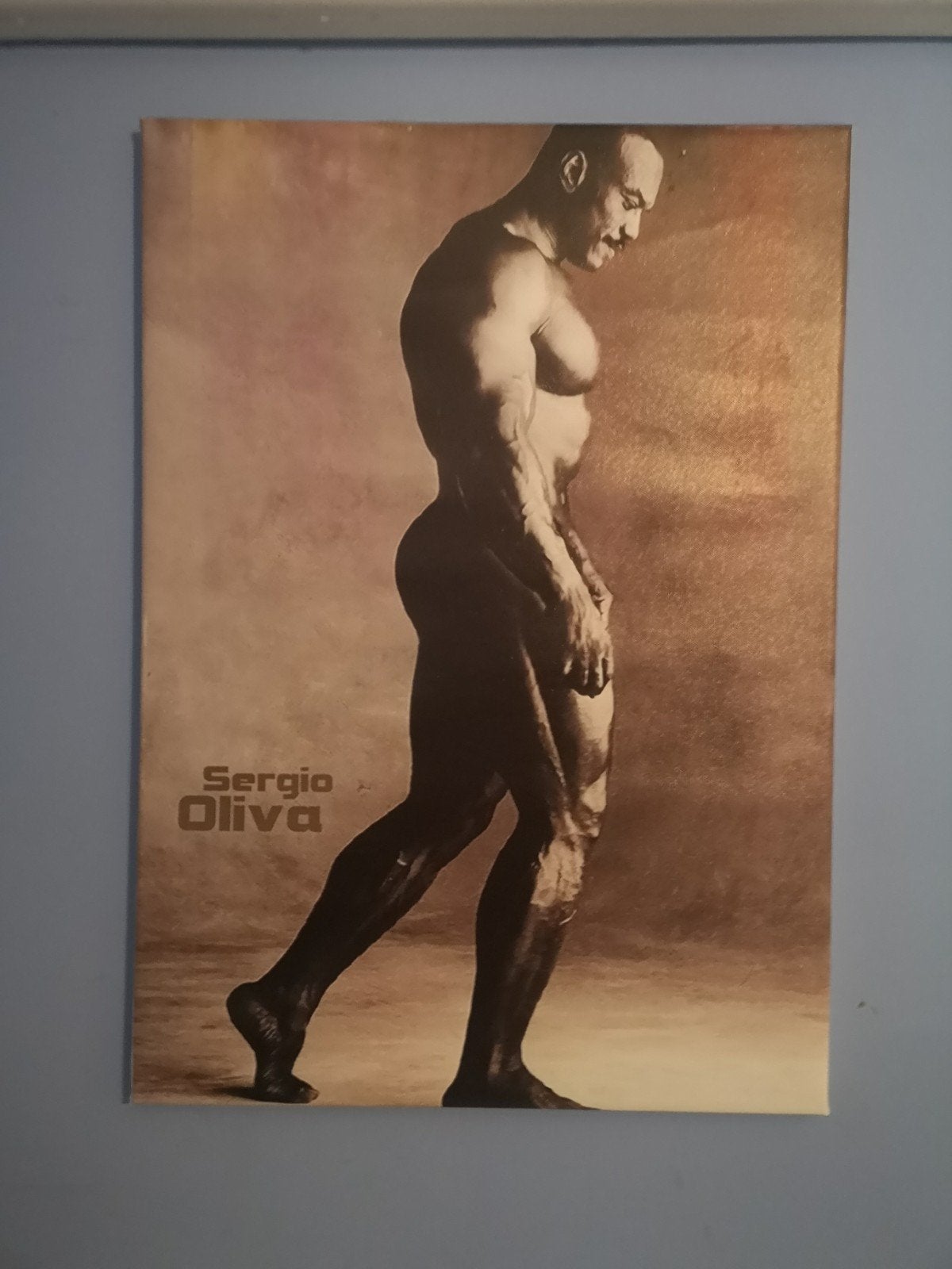 Sergio Oliva Bodybuilding Poster, Ophalen of Verzenden, Poster, Fotografie