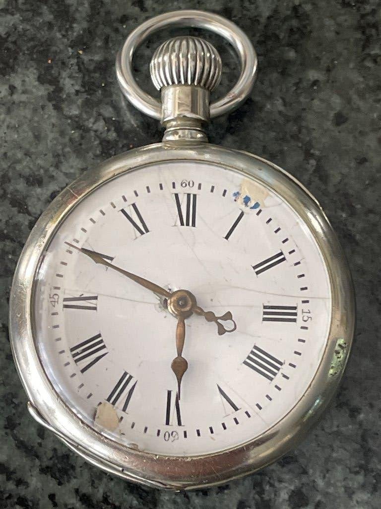 Roskopf zakhorloge, Verzenden, Staal, Overige merken