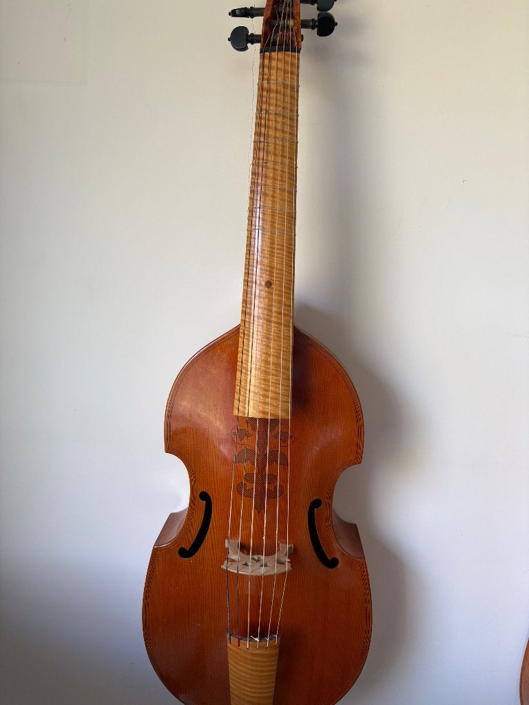 Viola da Gamba - strijkinstrument met bijbehorende tas, Muziek en Instrumenten, Strijkinstrumenten | Overige, Ophalen, Gebruikt