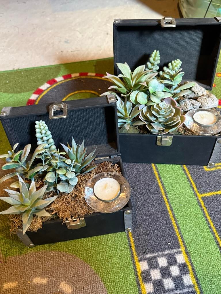 2 Schatkistjes met nepplanten en waxinelichthouder - Nieuw, Ophalen of Verzenden, Nieuw, Jongen of Meisje