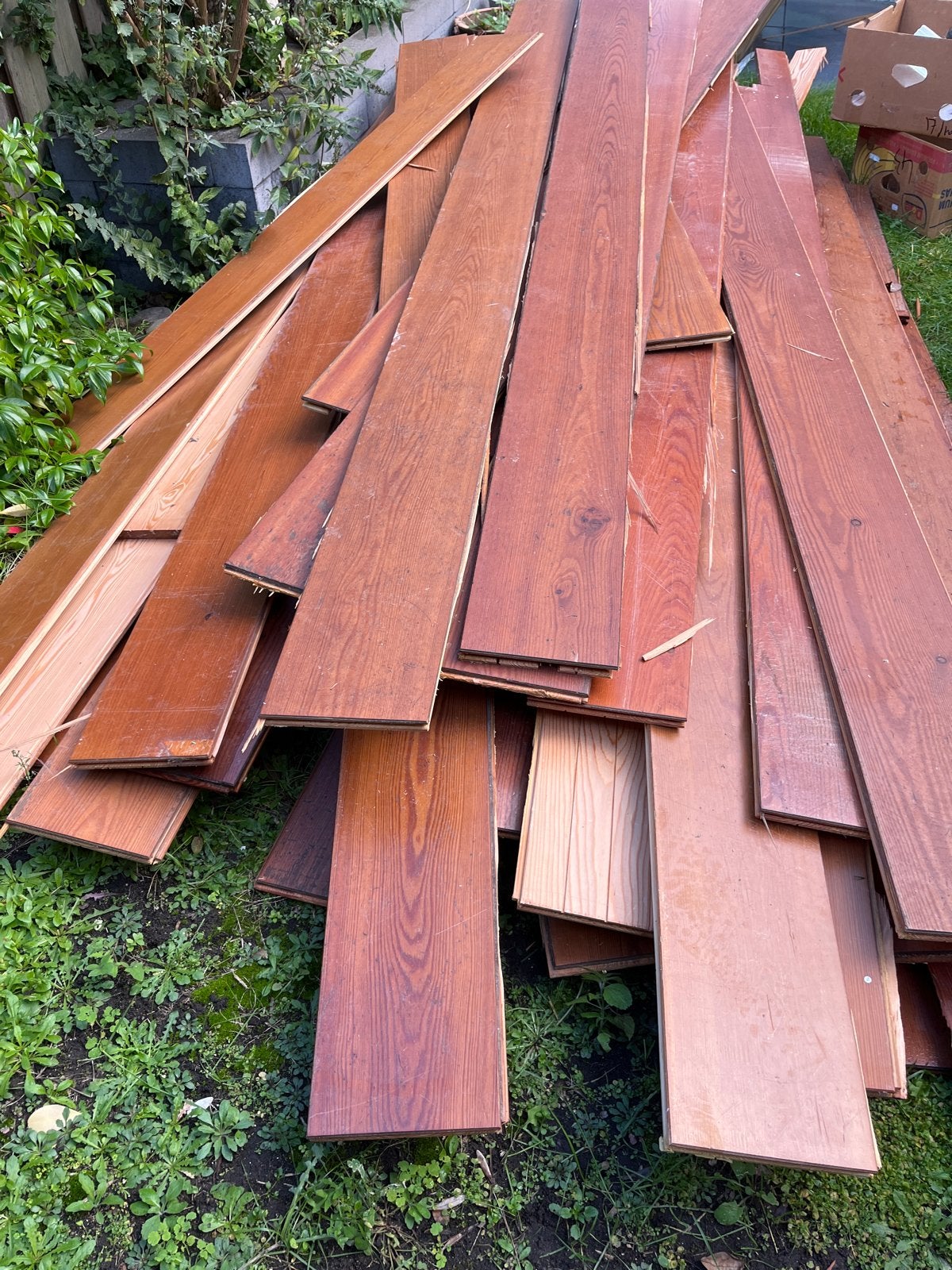 Gratis ophalen! Lariks planken - Diverse lengtes, Ophalen, Gebruikt, Minder dan 25 mm, Plank