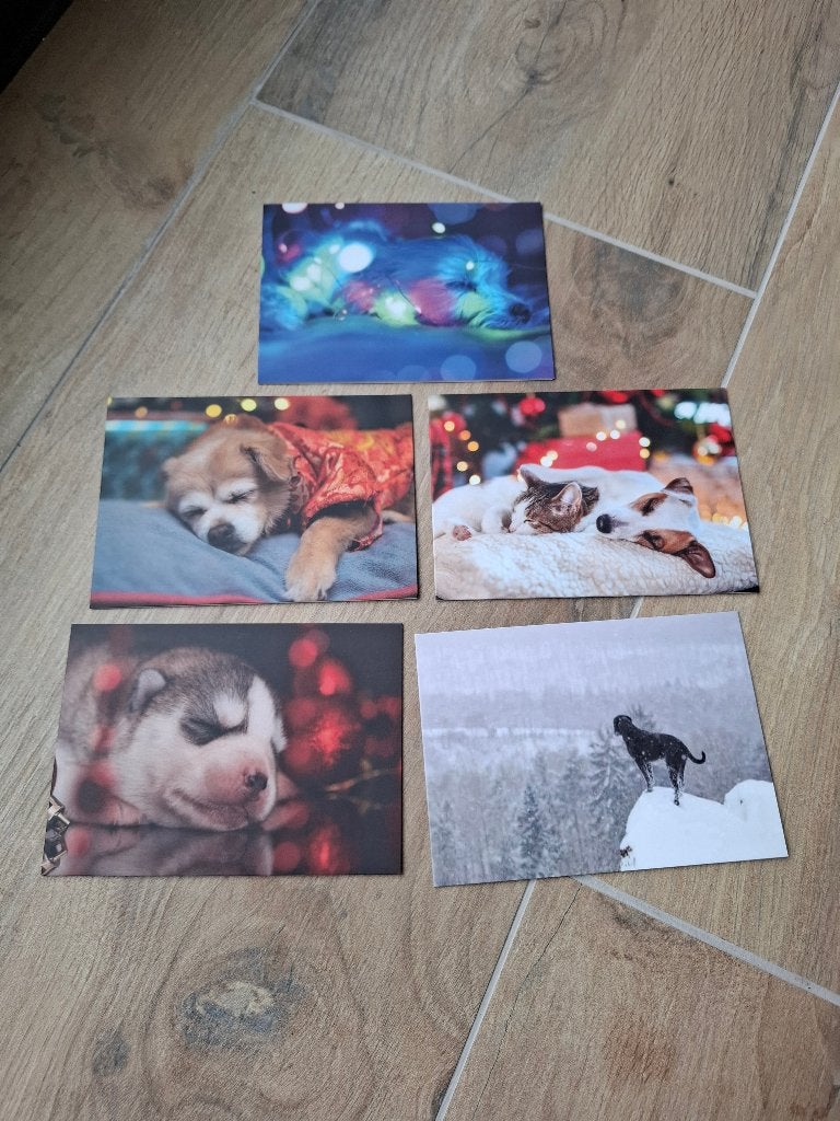 Set van 5 kerstkaarten - hond of kat thema - nieuw, Diversen, Kerst, Ophalen of Verzenden, Nieuw