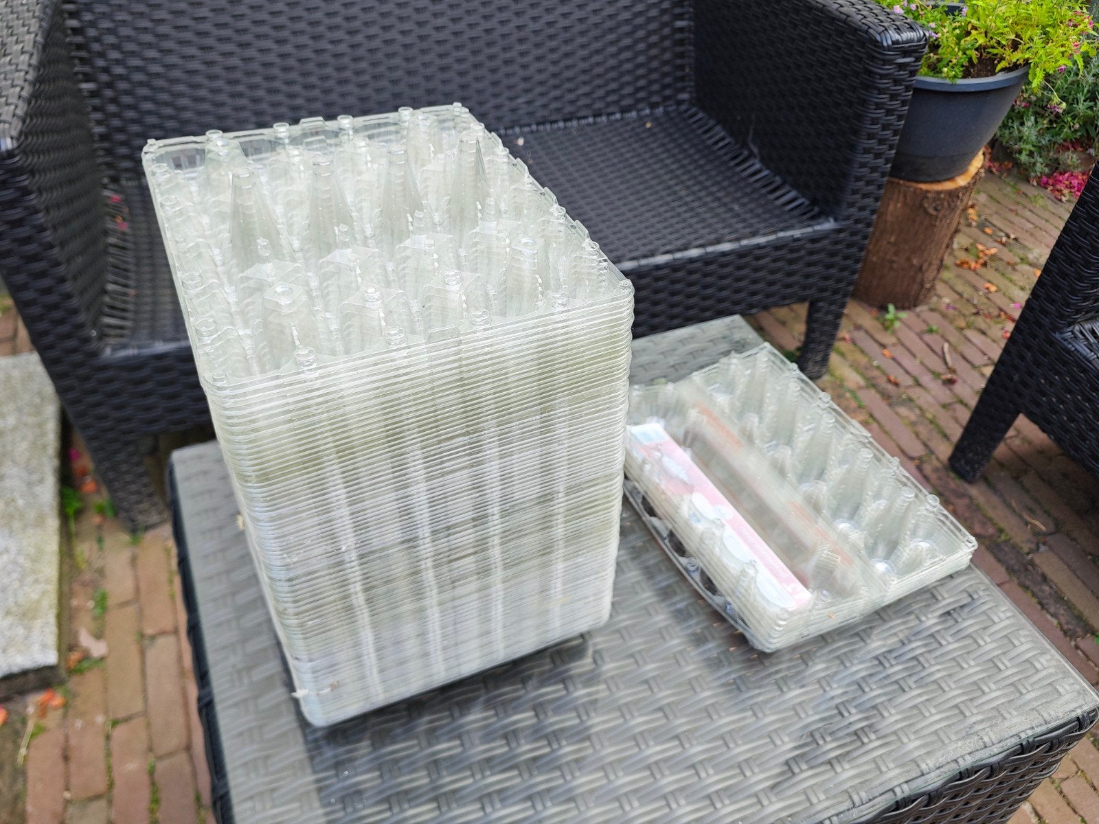 Gratis Transparante eierdozen (35 stuks), Ophalen, Gebruikt, Minder dan 50 cm, 5 – 50