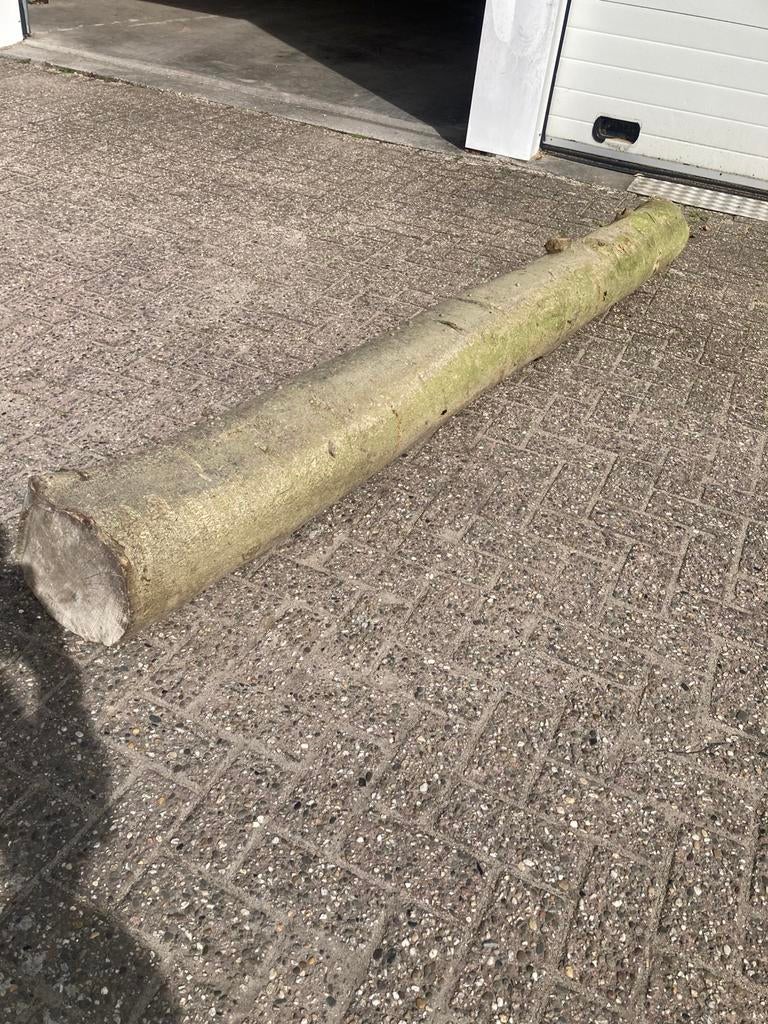 Hulst stam voor zaaghout houtdraaier, Ophalen, 25 tot 50 mm, Overige typen, Zo goed als nieuw