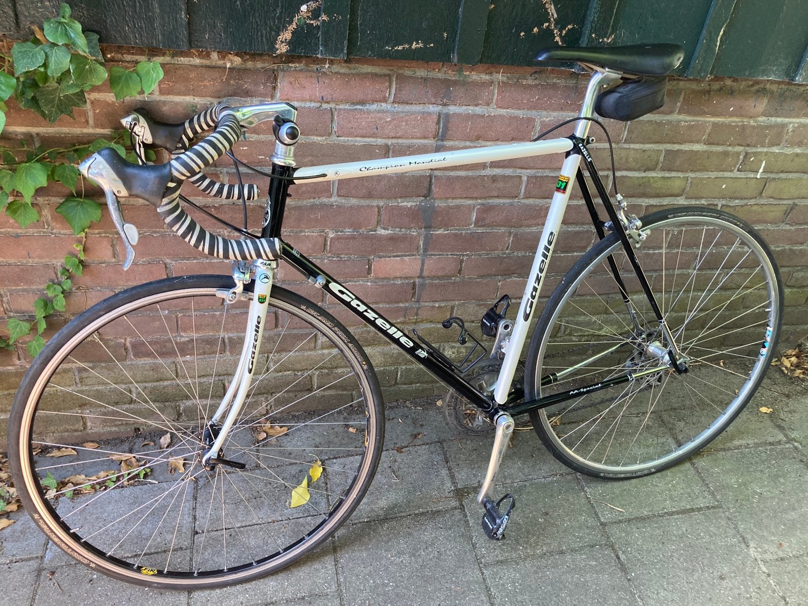 Gazelle champion mondiale Reynold 531 Shimano ultegra, Fietsen en Brommers, Fietsen | Racefietsen, Ophalen, Staal, Zo goed als nieuw