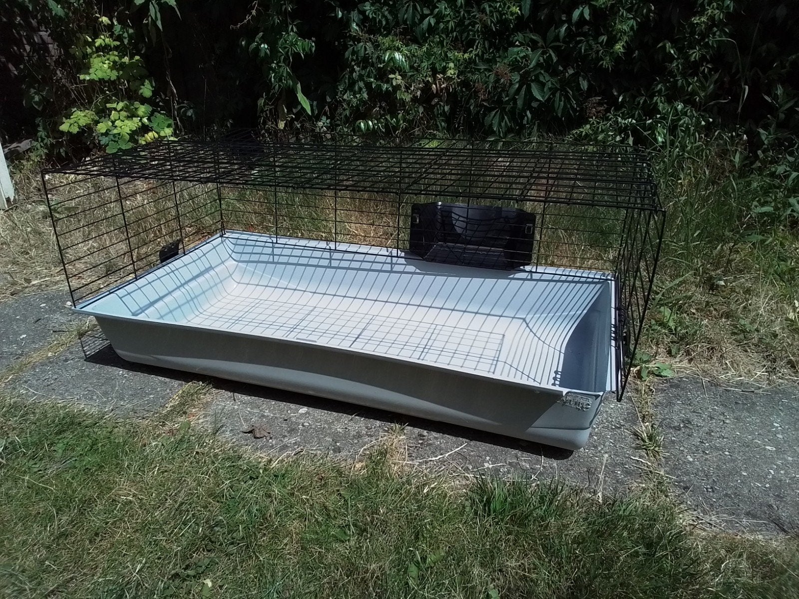 cavia hok + huisje + toilet, Gebruikt, Hok, Cavia, Ophalen