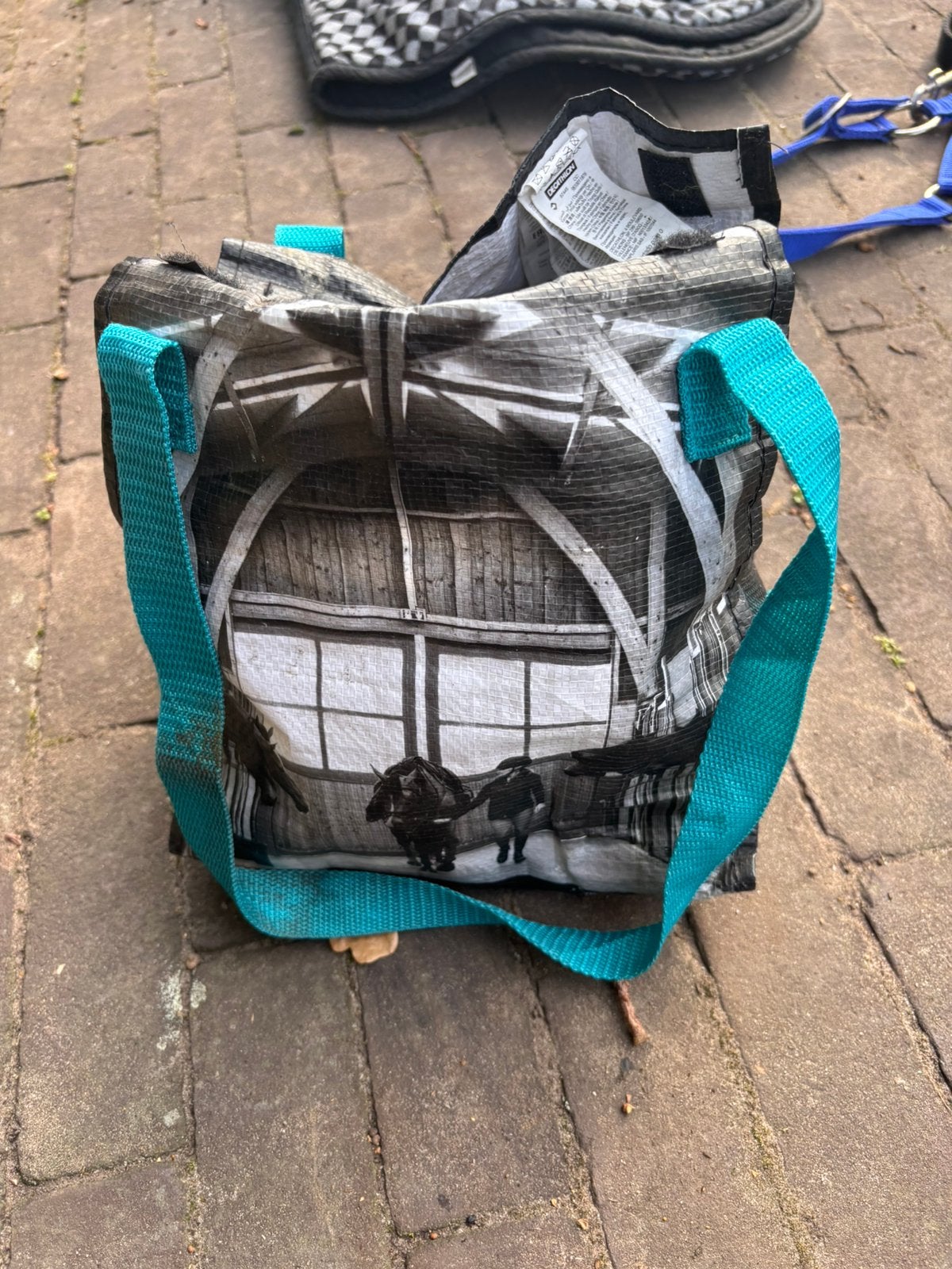 Borstels te koop pony, Ophalen of Verzenden, Zo goed als nieuw, Minder dan 10 meter