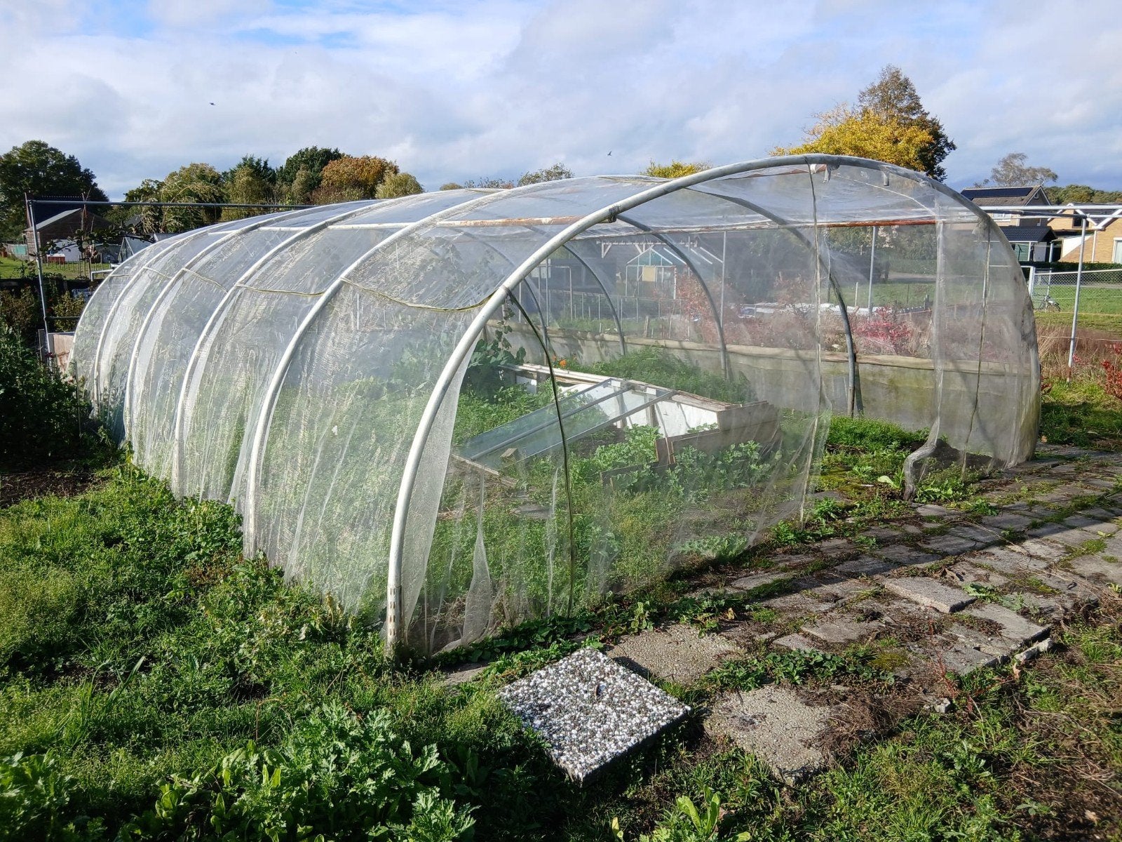 Demontabele Boogtunnel Kas - 7x5m, 190cm hoog, Staal, Gebruikt, Folie, Kweekkas