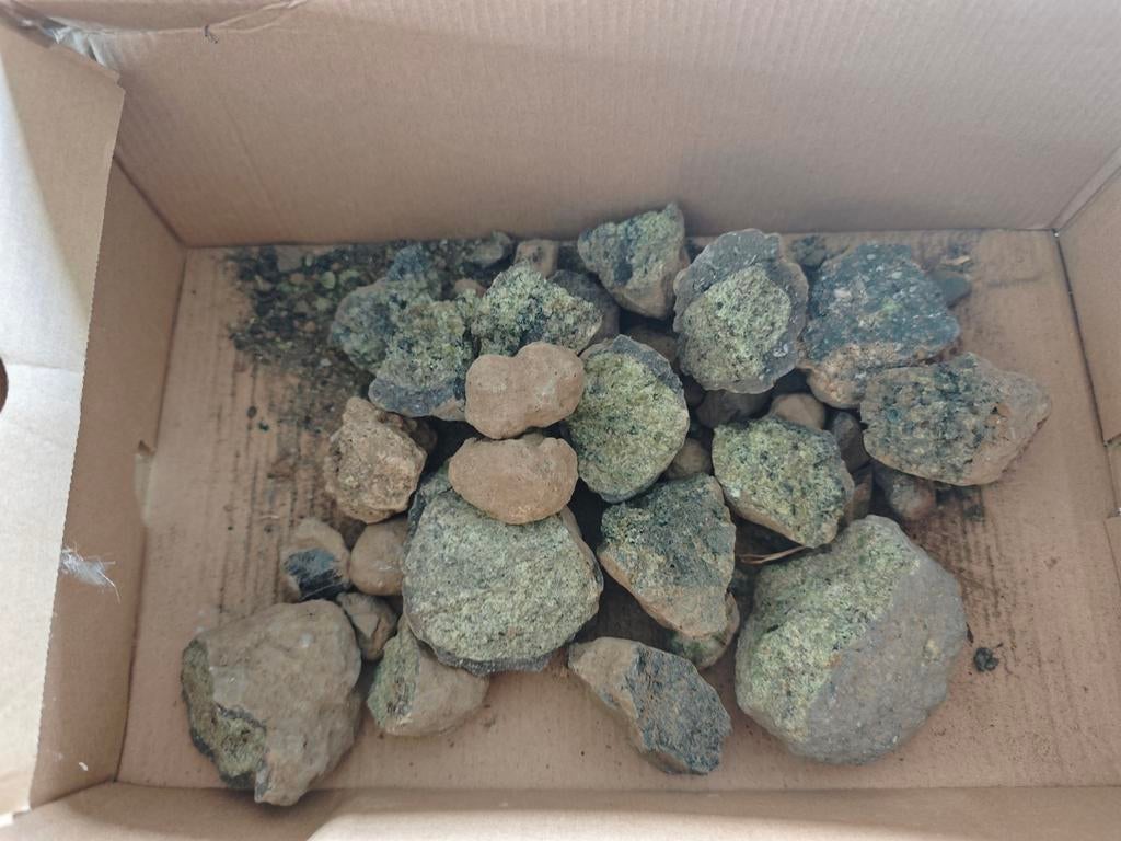 Periodiet knollen, Eifel Duitsland, Verzamelen, Mineralen en Fossielen, Ophalen of Verzenden