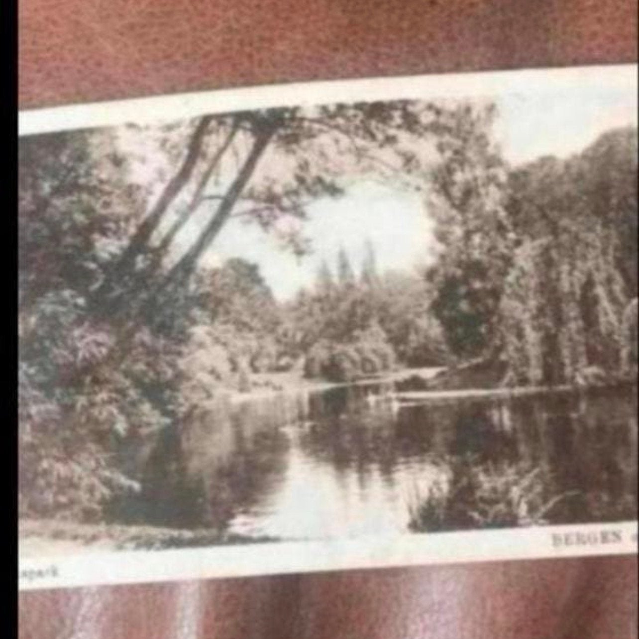 Oude ansichtkaart Volkspark Bergen op Zoom - Ongelopen, Ophalen of Verzenden, Voor 1920, Ongelopen, Noord-Brabant