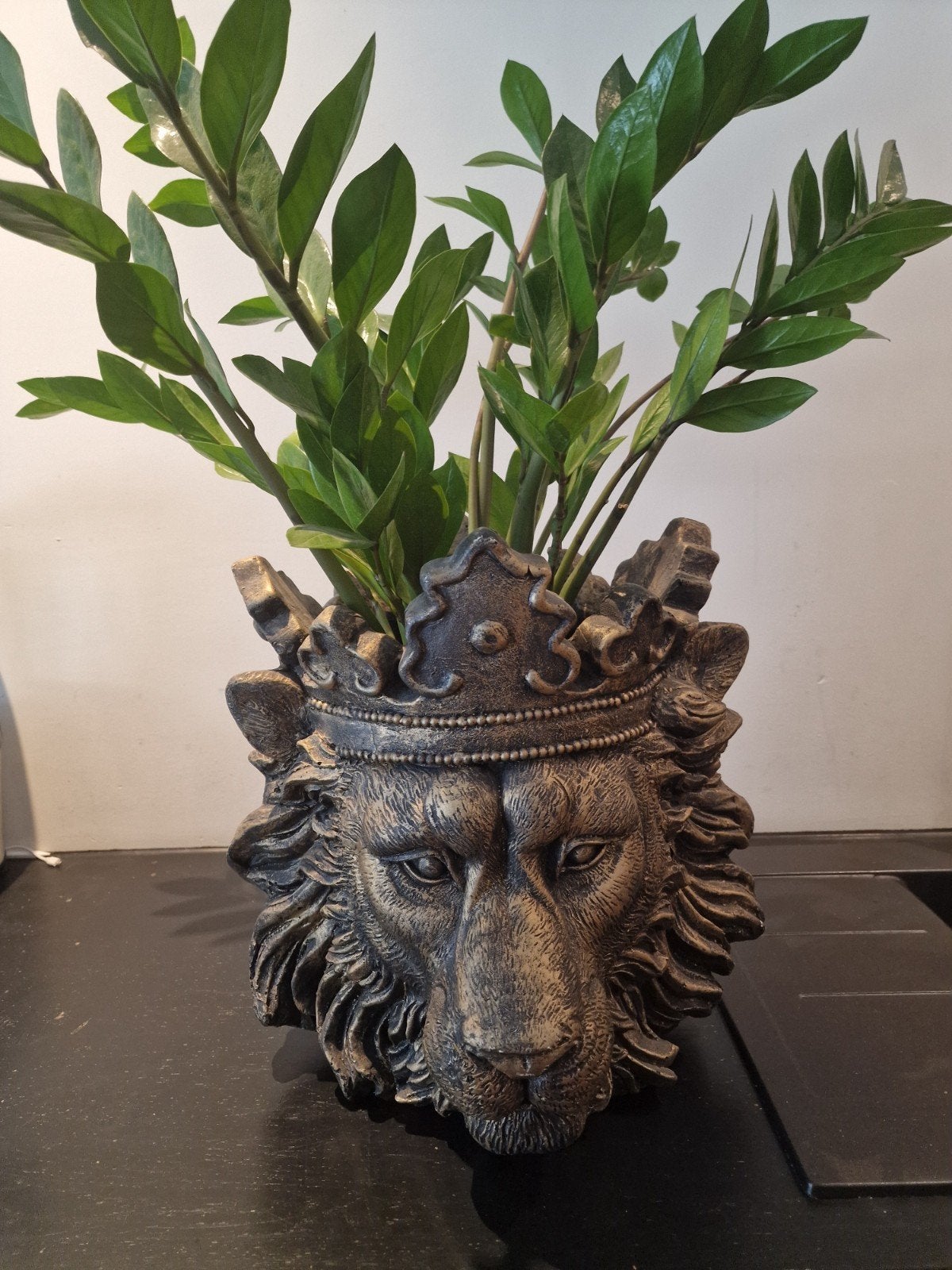 Grote Leeuwenkop Bloempot / Plantenbak (met of zonder plant), Huis en Inrichting, Ophalen, Gebruikt, Overige materialen