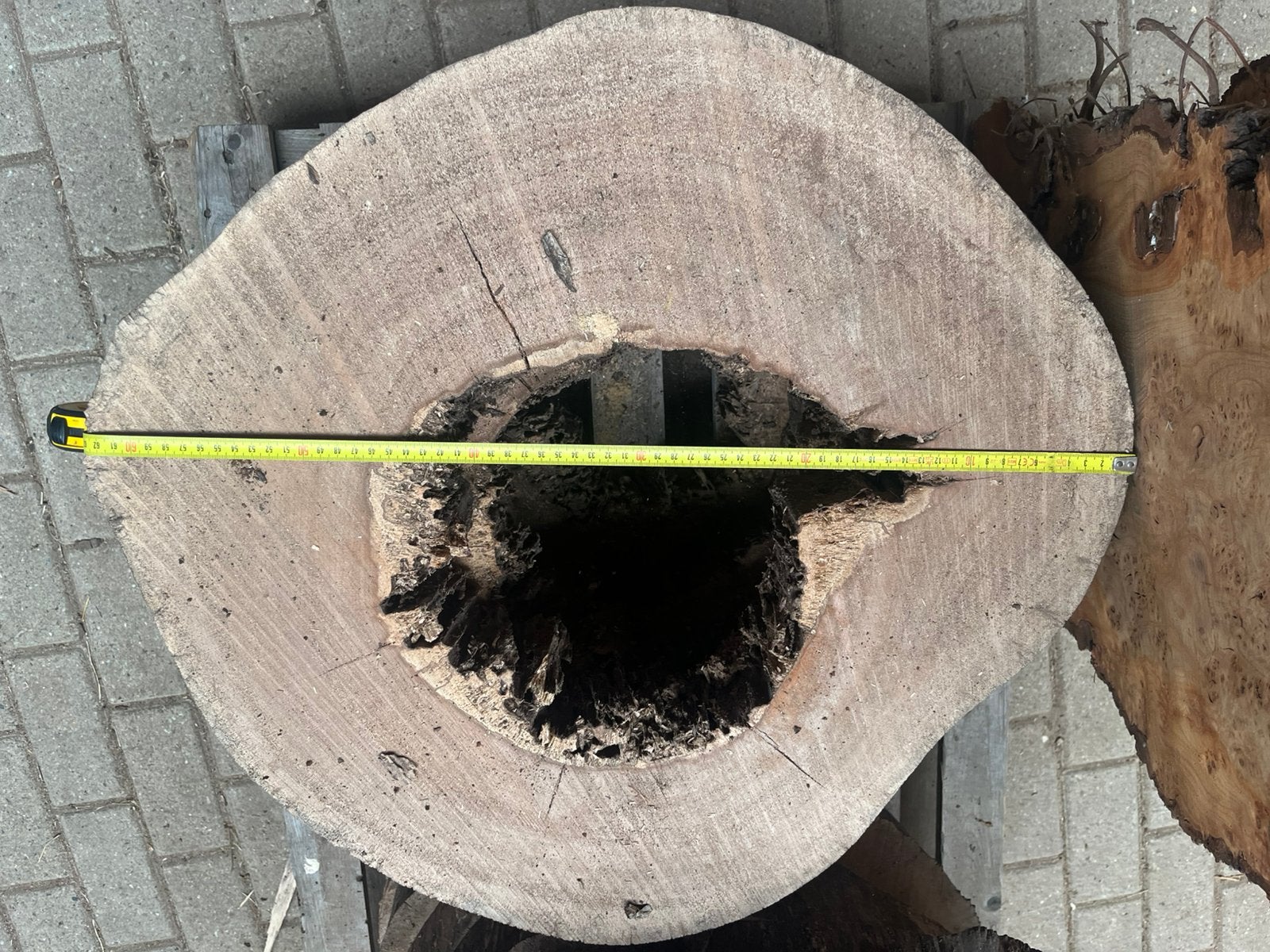 !0 boomschijven met gat voor epoxy werk voor bijzettafels, Ophalen, Nieuw, 75 cm of meer, 60 cm of meer