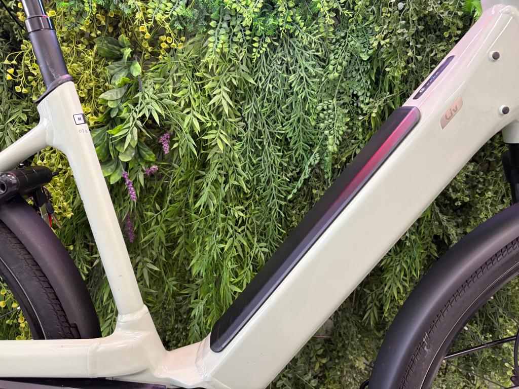 Liv Allure E+2 (Giant) – Middenmotor - 500Wh - M - 4700km, Pascallaan 66, 8218 NJ Lelystad, Zo goed als nieuw, Info@giant-europe.com
