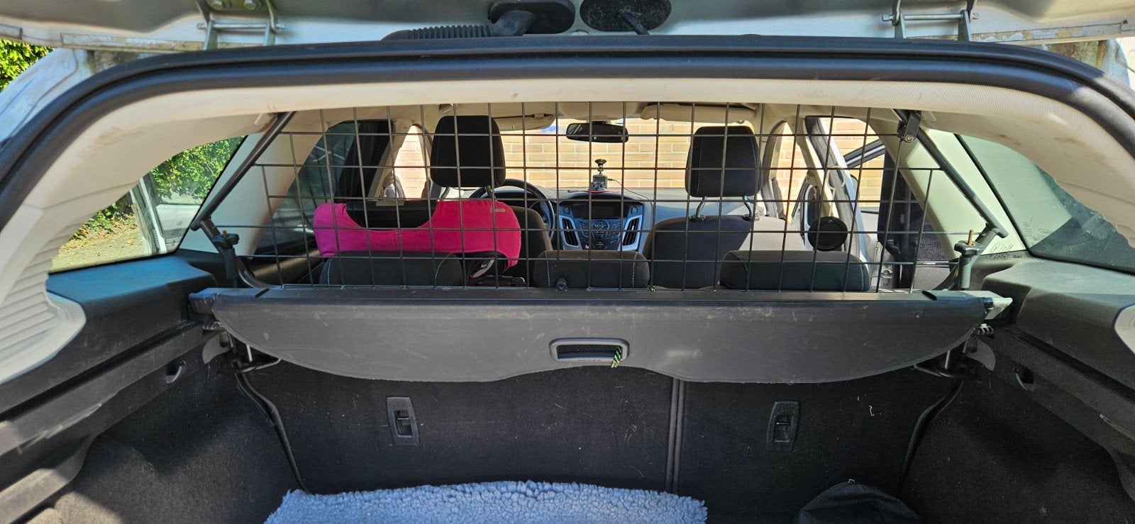 Hondenrek Ford Focus Station 2014 - Veilig Vervoer Hond, Ophalen, Gebruikt