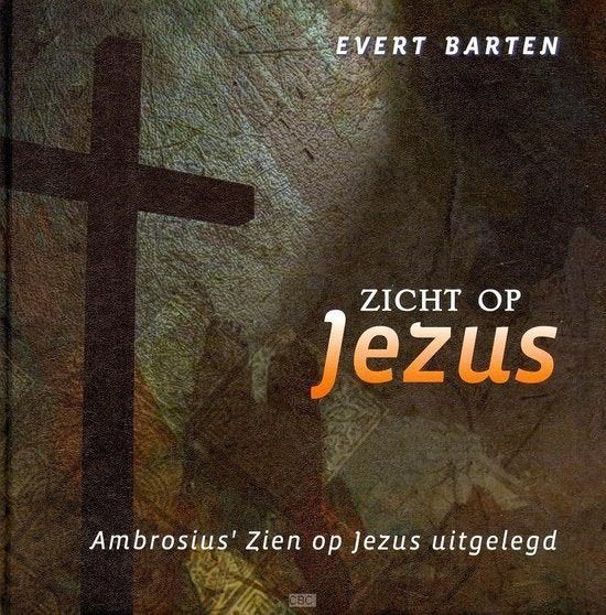 Evert Barten: Zicht op Jezus., Boeken, Christendom | Protestants, Ophalen of Verzenden, Zo goed als nieuw, Evert Barten