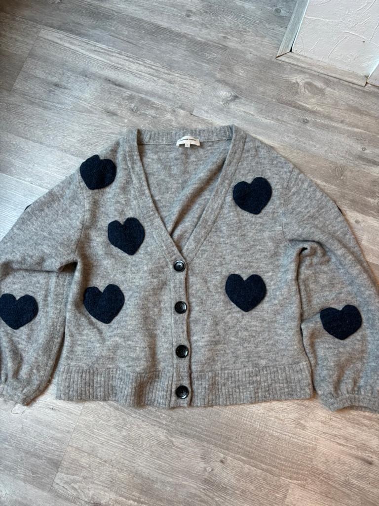 Fabienne Chapot vest, Kleding | Dames, Ophalen of Verzenden, Zo goed als nieuw, Maat 42/44 (L), Grijs