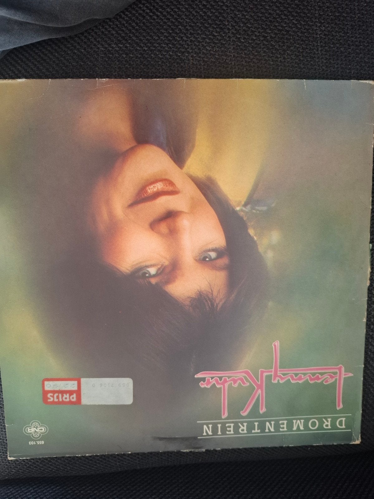 Lenny kuhr, Cd's en Dvd's, Ophalen of Verzenden, Gebruikt, Overige formaten, Overige genres