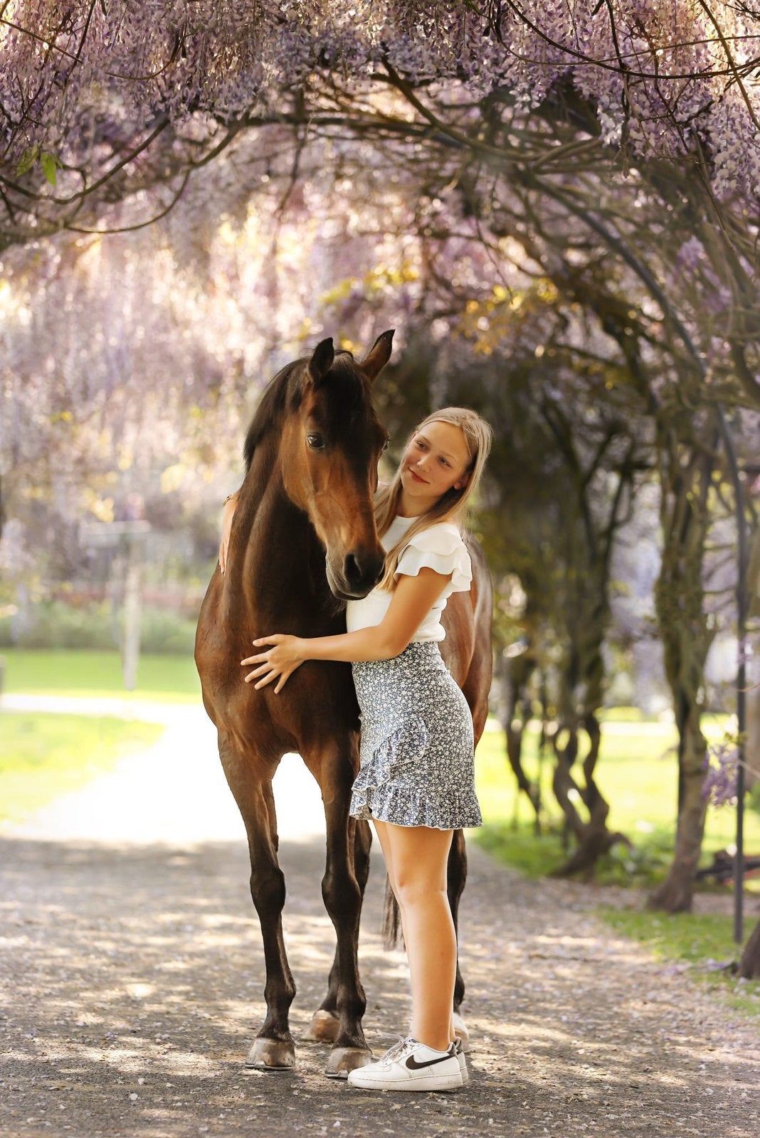 Weide maatje aangeboden, Merrie, Niet van toepassing, 11 jaar of ouder, Recreatiepony