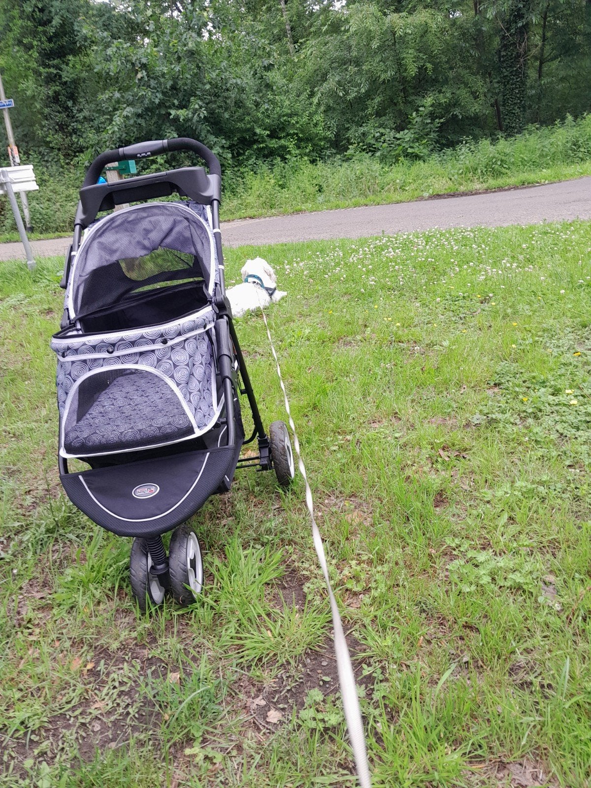 Hondenbuggy, Ophalen, Zo goed als nieuw