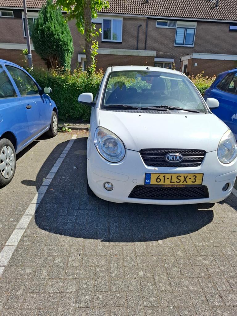Kia Picanto 1.0 2010 Wit, Auto's, 4 cilinders, 400 kg, Wit, Origineel Nederlands