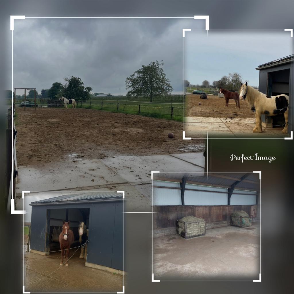Doe-het-zelf stal, 1 paard of pony