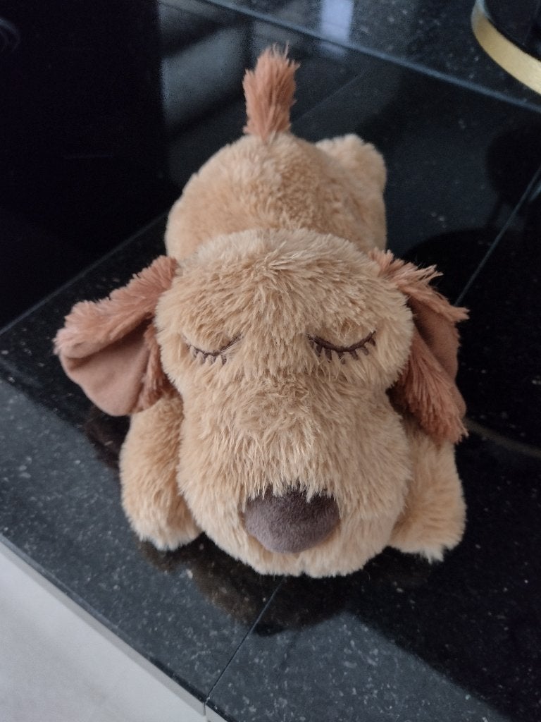 Puppy benodigdheden, Dieren en Toebehoren, Ophalen, Zo goed als nieuw, Overige typen