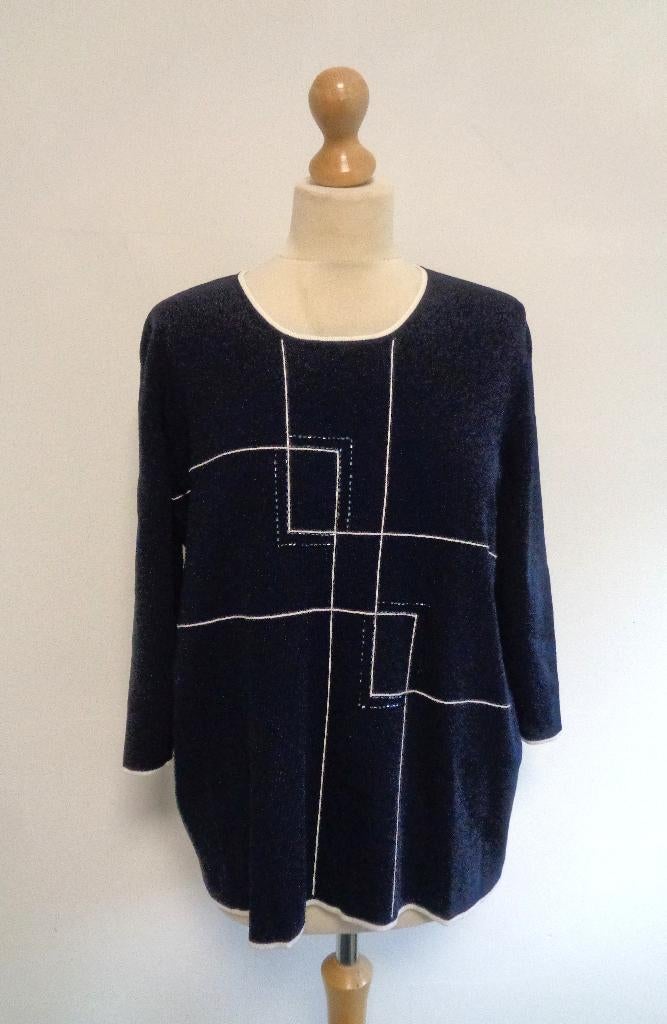 trui Roberto Sarto/viscose, Maat 42/44 (L), Zo goed als nieuw, Roberto Sarto, Verzenden